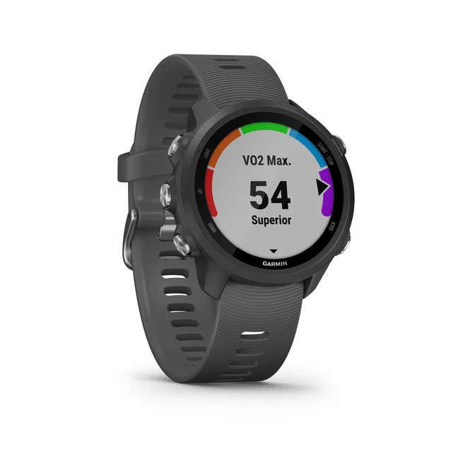 garmin 245 garmin pay