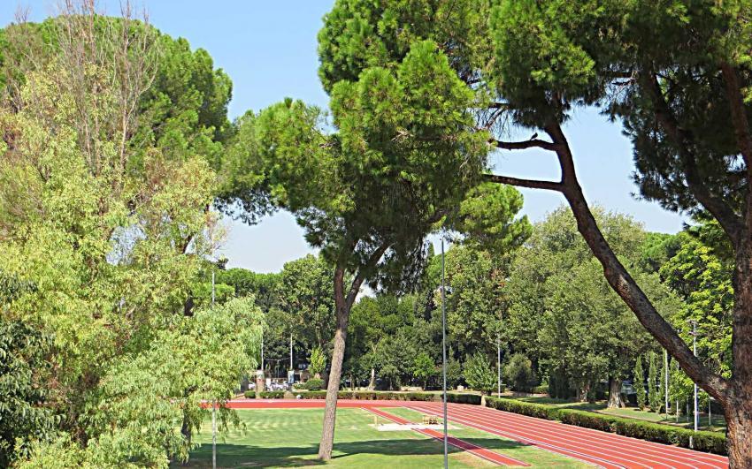 vista sullo stadio nando martelli terme di caracalla