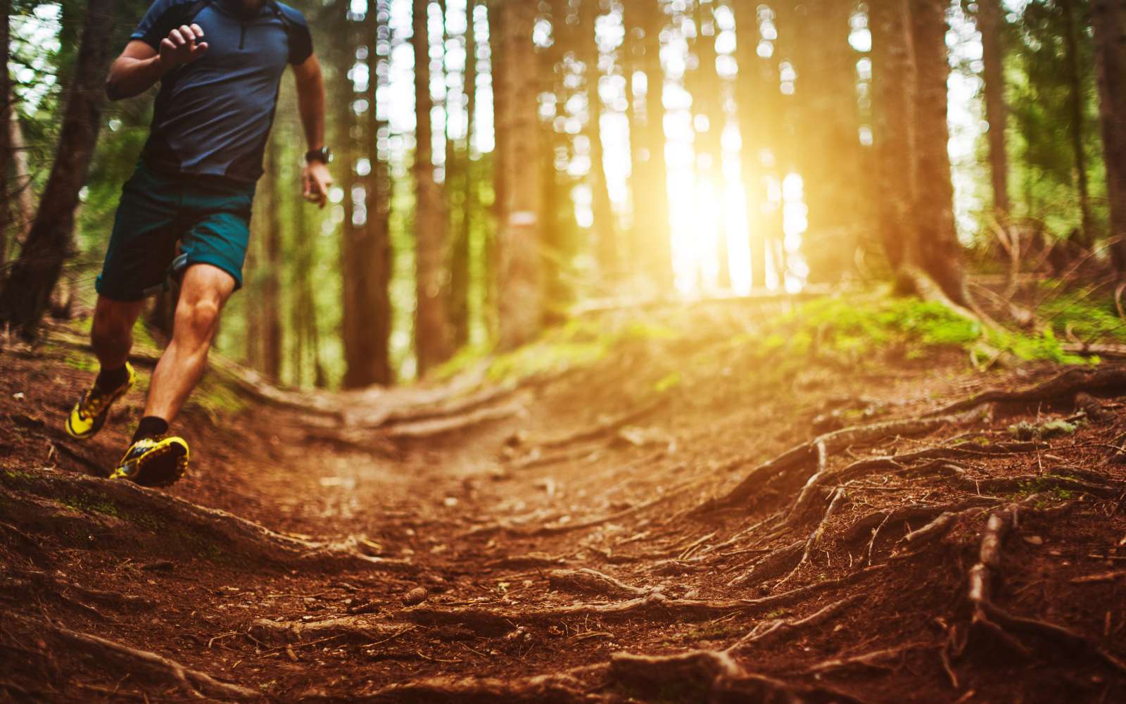 runner corre nel bosco con scarpe da trail running e abbigliamento tecnico