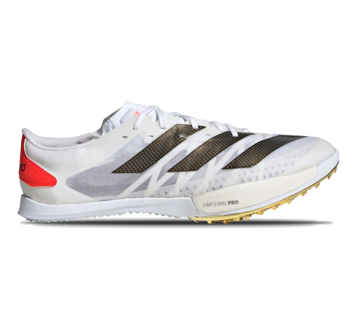 scarpa da pista mezzofondo adidas ambition unisex bianca