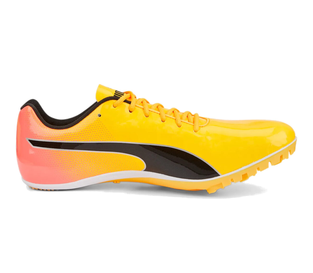 Scarpa Puma evospeed sprint 14 unisex gialla