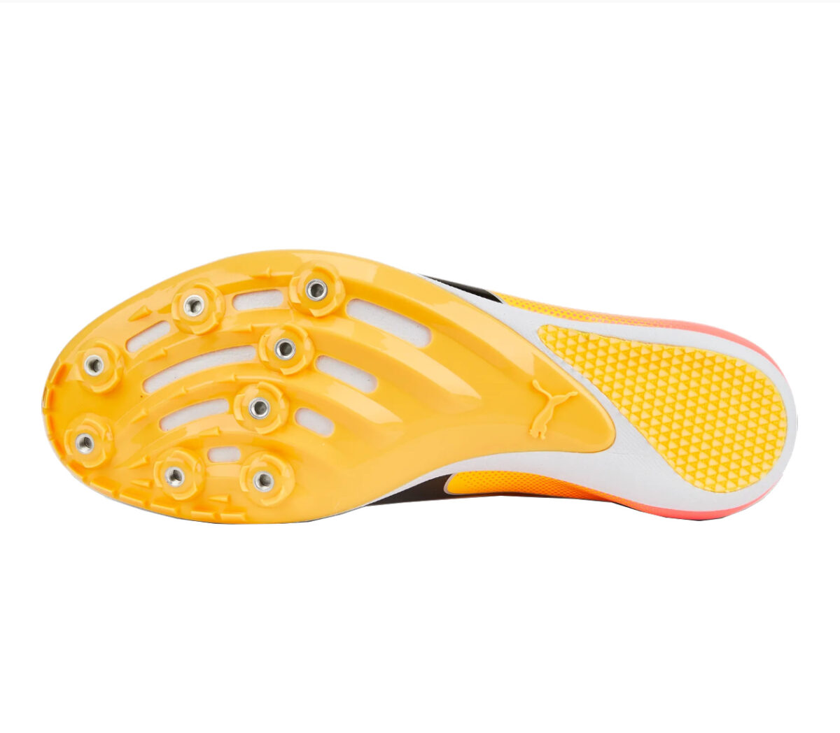 Suola Scarpa Puma evospeed sprint 14 unisex gialla