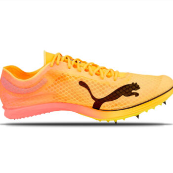 Chaussure evospeed deals