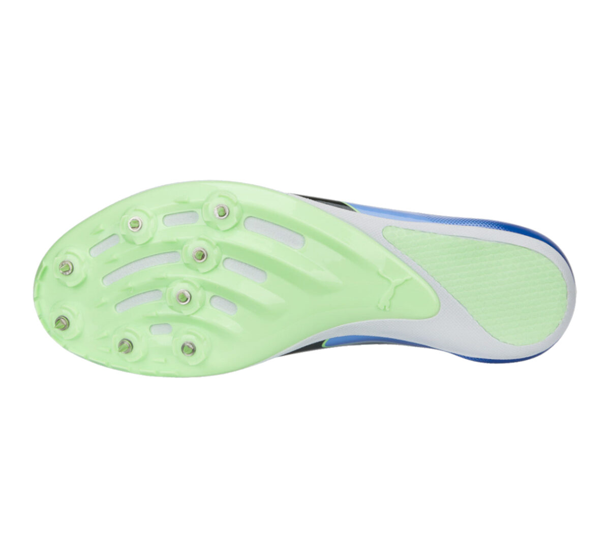 Suola Scarpa puma evospeed sprint 14 unisex blu