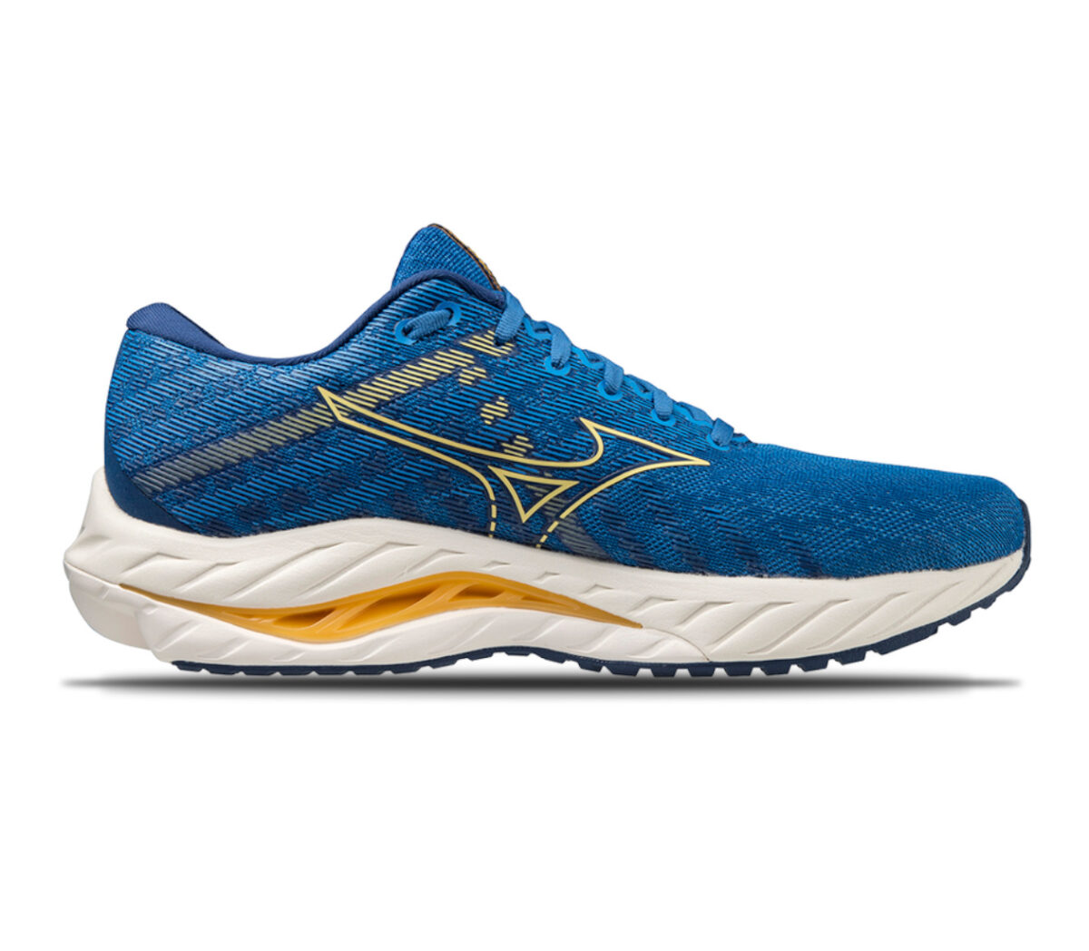 Scarpa Mizuno Wave Inspire 19 uomo blu