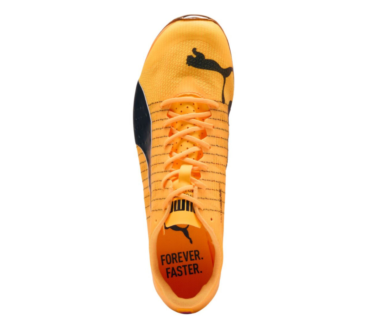 Tomaia Scarpa Puma evoSPEED 400 Nitro 2 unisex arancione