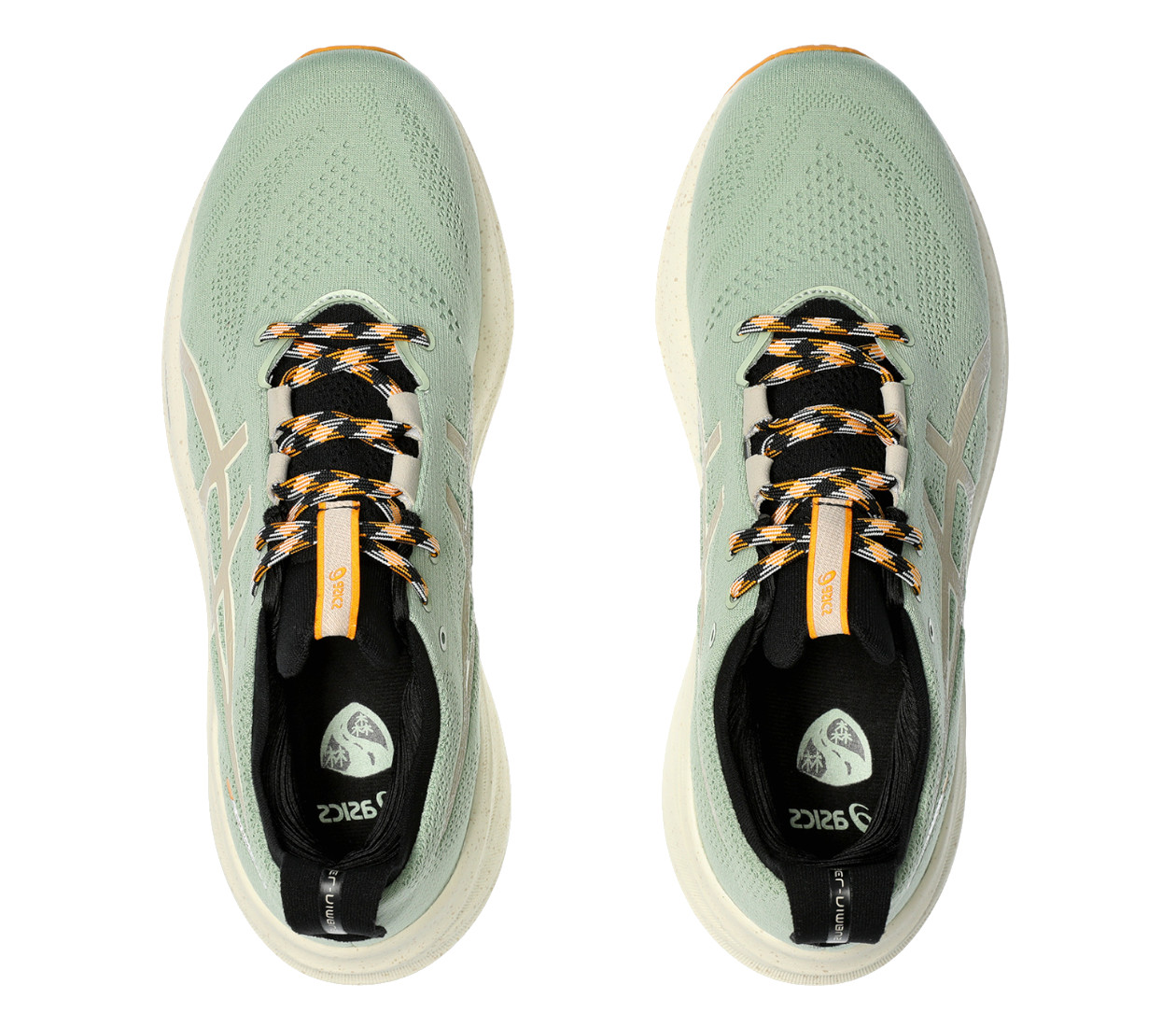 Asics Gel Nimbus 26 TR M scarpa sentiero e asfalto LBM Sport
