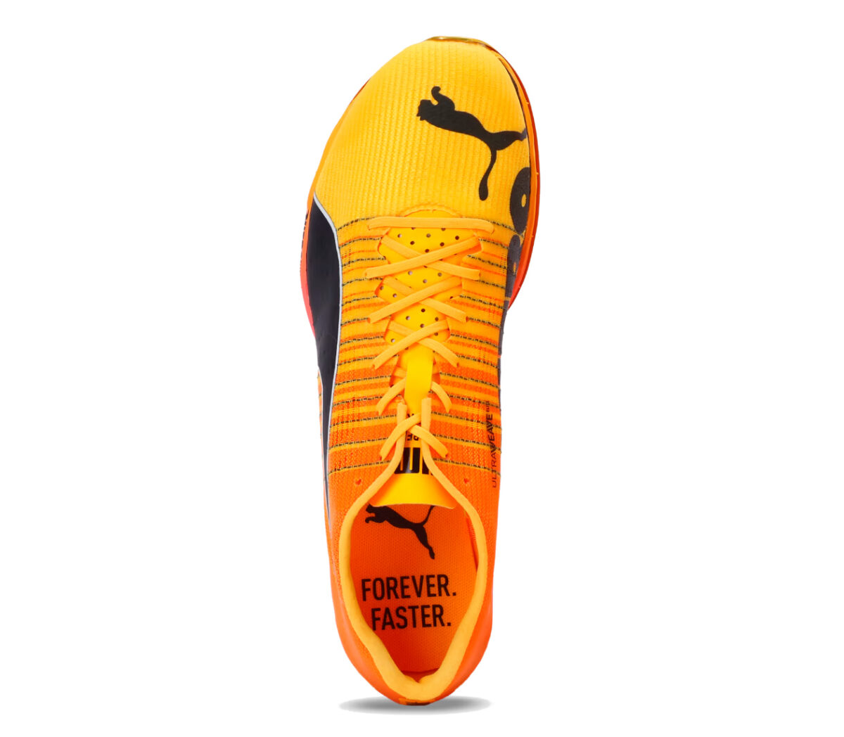 Tomaia Scarpa Puma evoSPEED Forte Nitro Elite unisex gialla